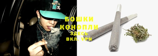 эйфоретик Белокуриха