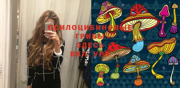 хмурый Белоозёрский