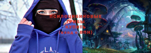 мдма Богородицк